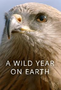 A Wild Year On Earth